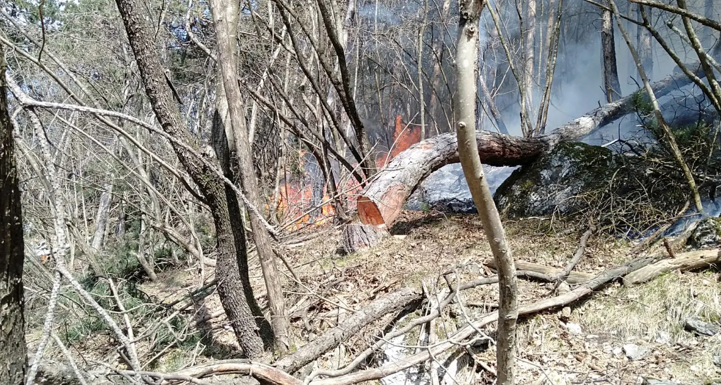 Incendio boschivo sotto Fai della Paganella: il forte vento alimenta le fiamme