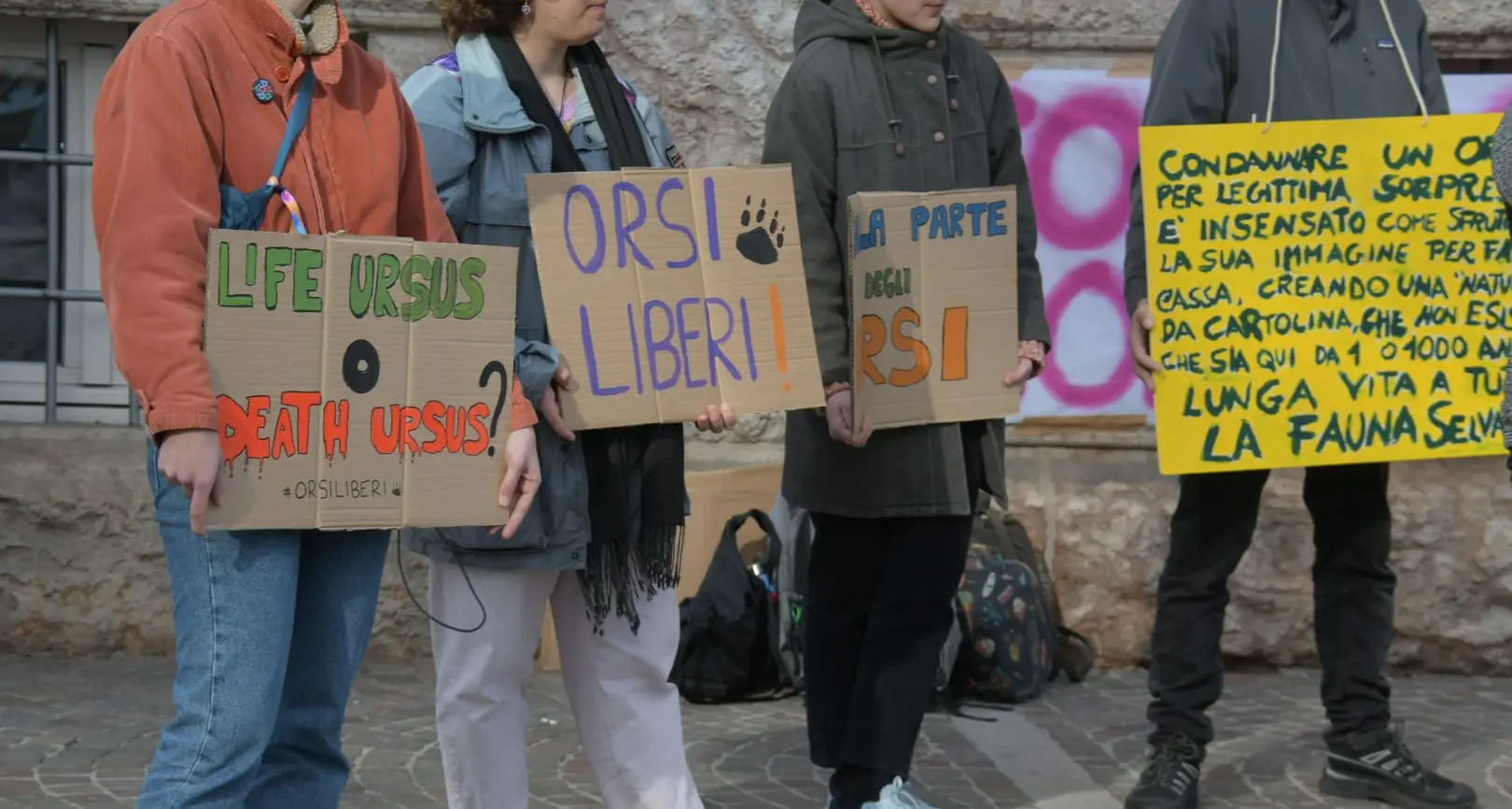 Il grido degli attivisti trentini in Piazza Dante per proteggere MJ5: «Corri orso, corri»
