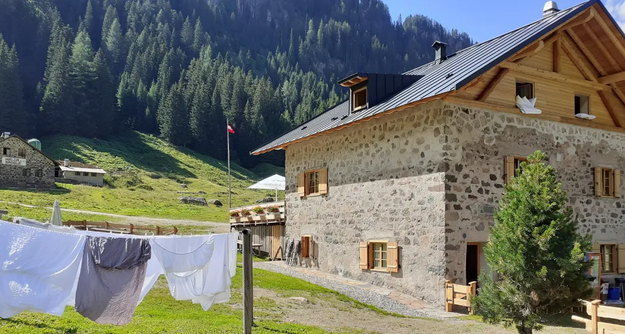 Chi ha paura del lupo? Al rifugio Cauriol, sabato, la camminata insieme agli esperti del Muse e di Life Wolf Alps