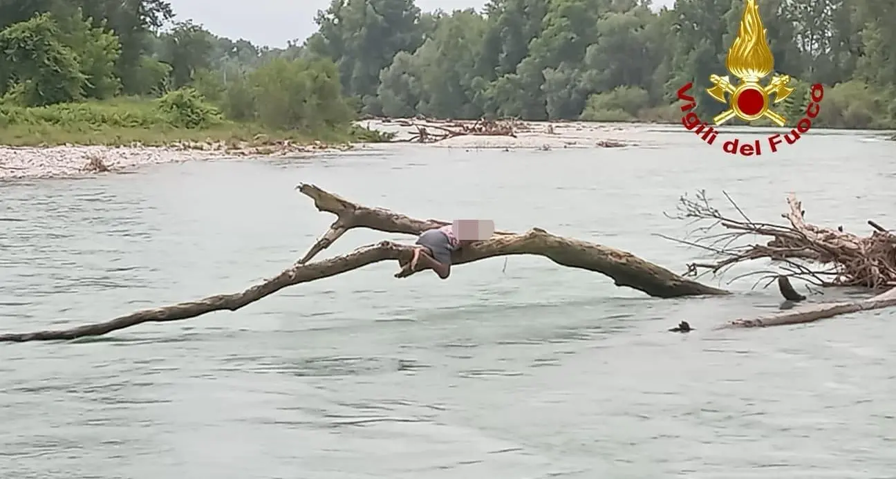 Nel Brenta in piena, aggrappato a un ramo: salvato dai pompieri, poteva essere come sul Natisone
