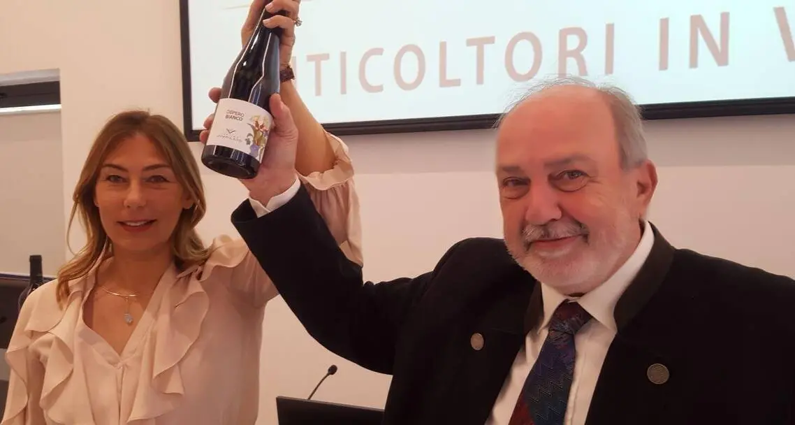 Vivallis, il nuovo direttore è Paola Gregori, la manager esperta in imprese ed Estremo Oriente