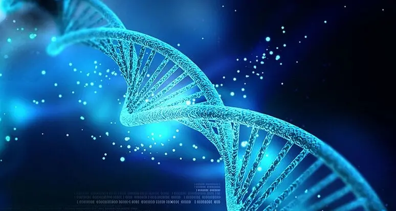 Ipertensione: studio sulle regioni del Dna apre a nuovi farmaci e trattamenti su misura