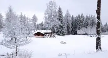 Spolverata di neve sul Trentino, da 15 a 30 centimetri sopra gli 800 metri, domani il tempo migliora