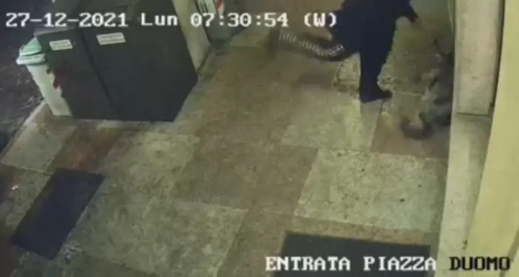 Botte e calci nelle costole al cane, il video della violenza sotto i portici di piazza Duomo