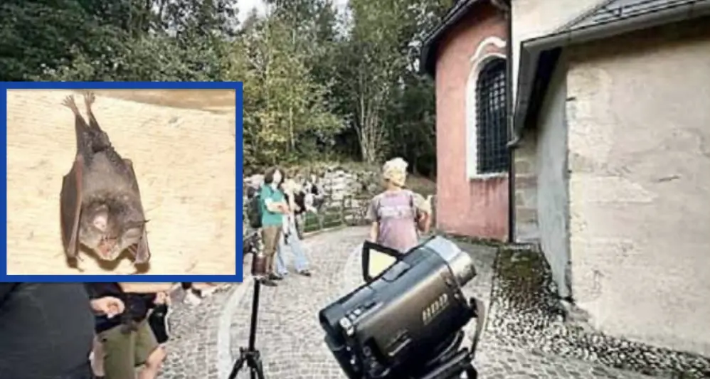 Bieno: nella chiesetta di San Biagio vivono 480 pipistrelli