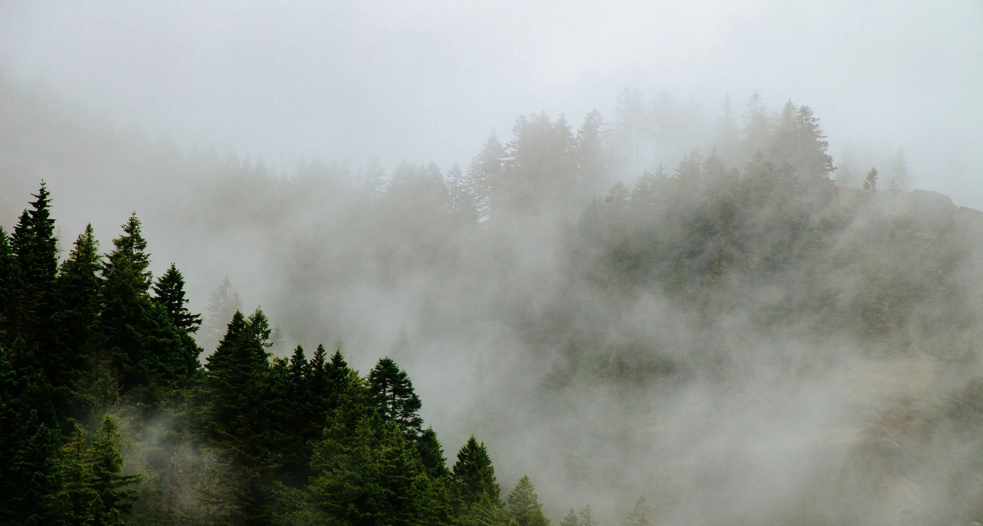Maltempo, allerta gialla in Trentino: attenzione alle forti raffiche di vento
