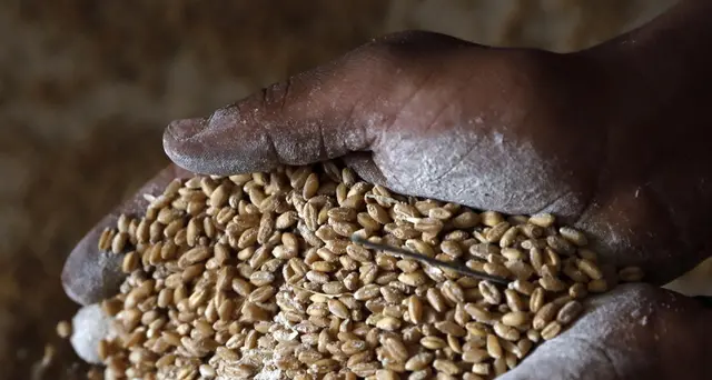 Fmi: tutelare deboli, essenziale evitare crisi alimentare