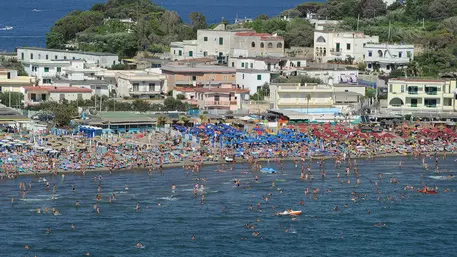 CIRO FUSCO                      