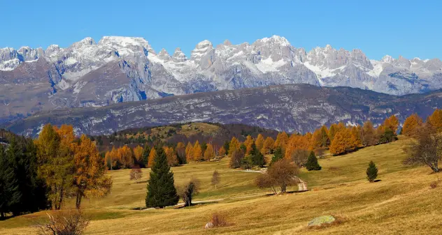 I resti di un cadavere rinvenuti da escursionisti alle Rocce Rosse del Bondone
