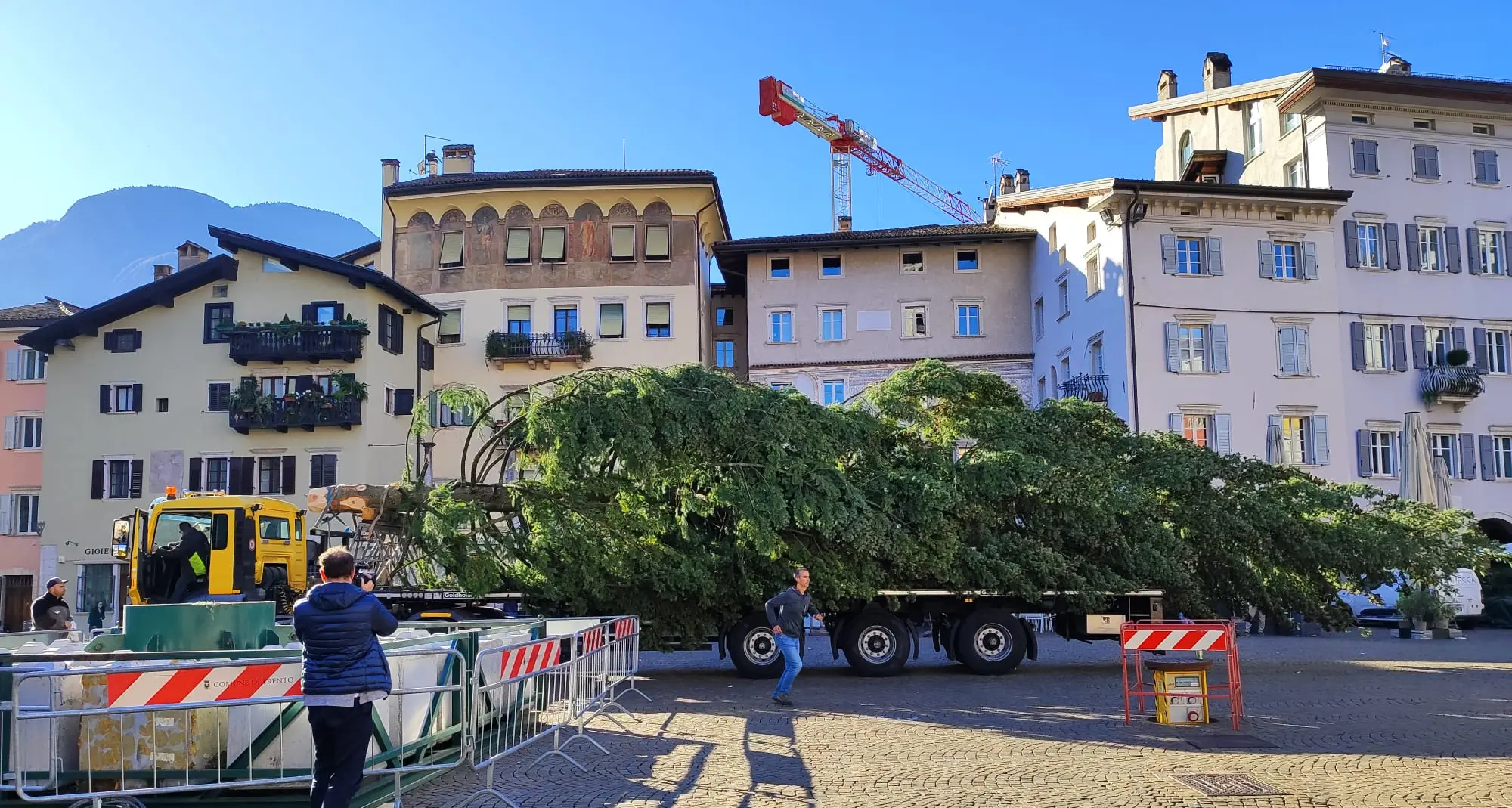 Trento, ecco il grande albero di Natale in piazza Duomo: verrà decorato con 22 mila lucine