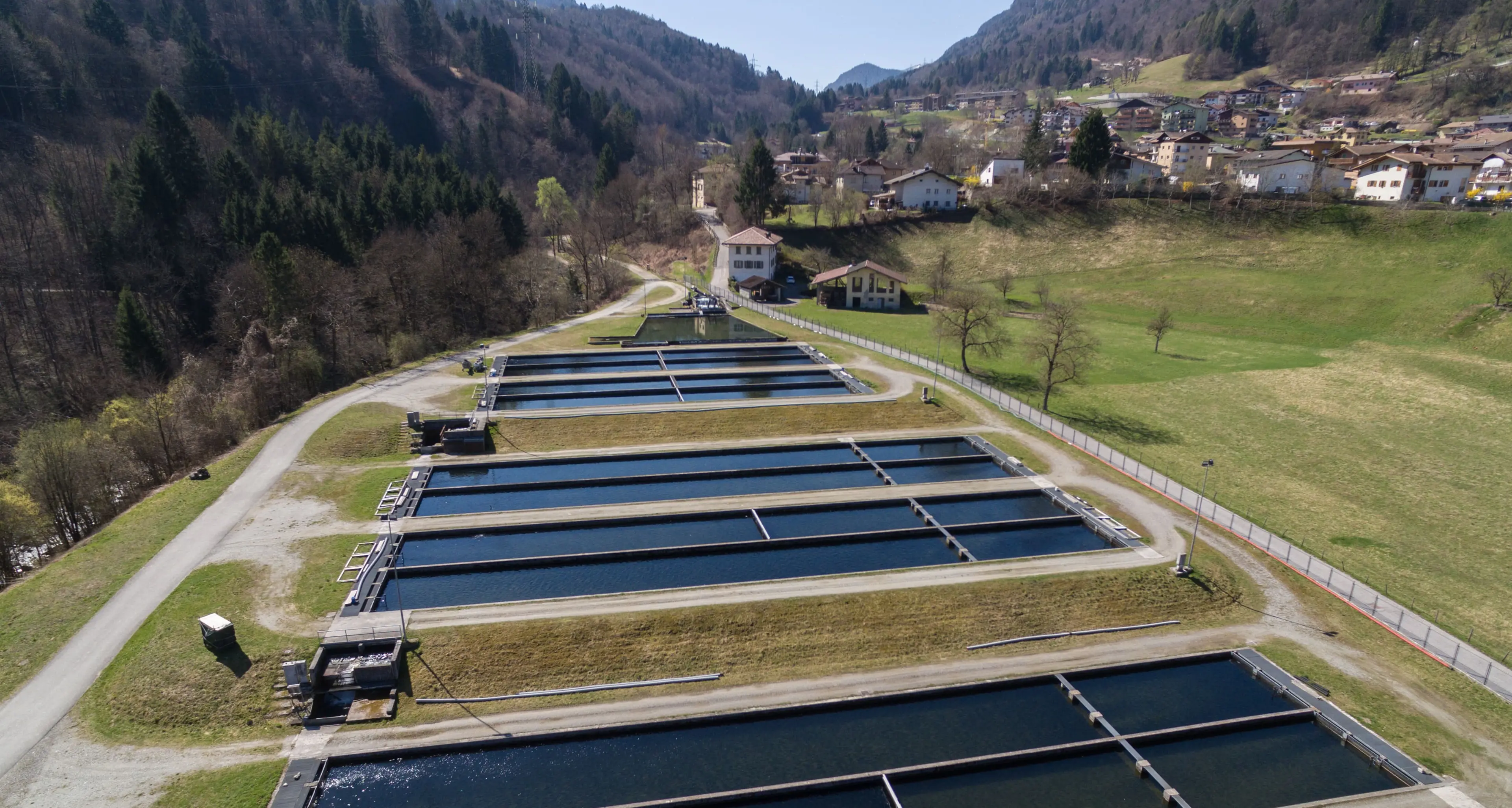 Trote del Trentino, un progetto di ricerca da 11 milioni di euro per produrre farine e olio di pesce