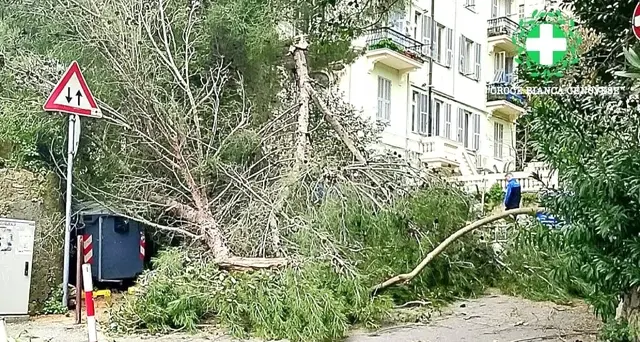 Maltempo: Protezione Civile, domani allerta gialla in nove regioni