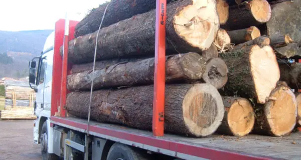 Basta camion attraverso i paesi, la Val di Fiemme mette il divieto, tutti deviati sulla Fondovalle
