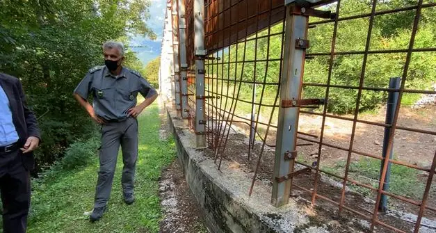Nuovo esposto in Procura degli animalisti dell’Aidda: “Psicofarmaci a M49, chiediamo controlli”