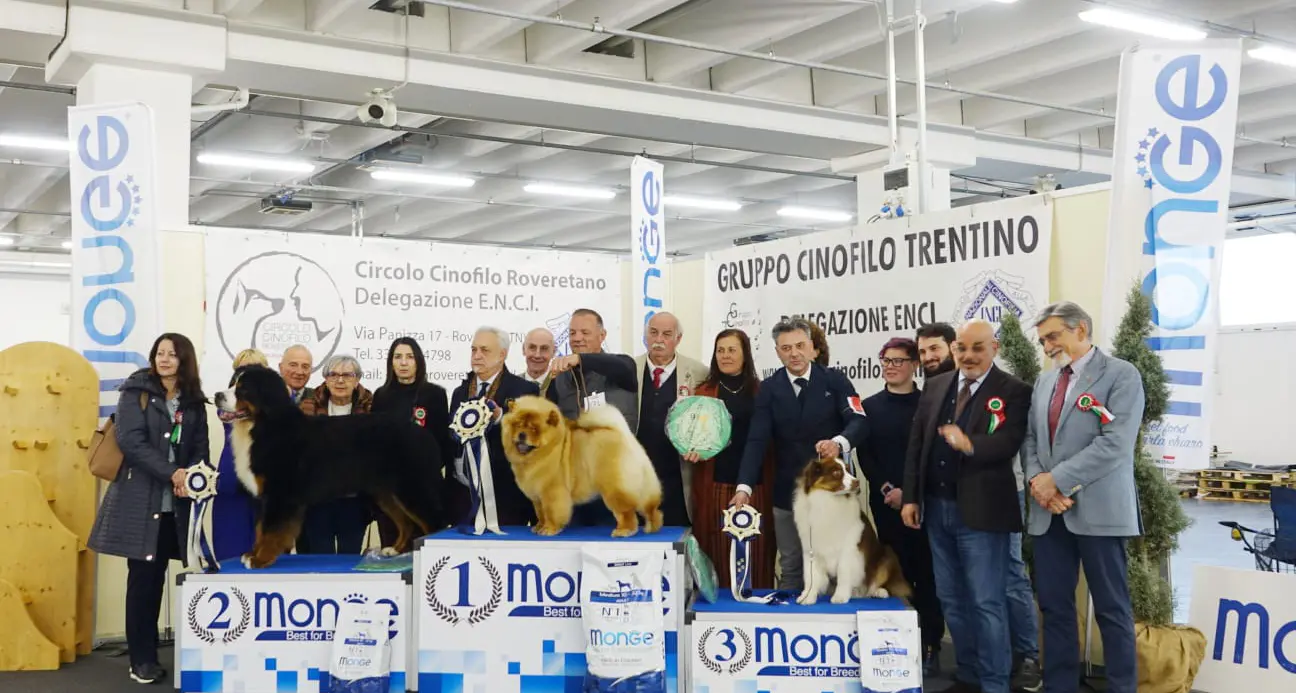 Bassotti e chow chow conquistano il podio all’expo canina di Riva del Garda