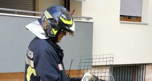 A fuoco un piccolo elettrodomestico, a Riva in azione i pompieri