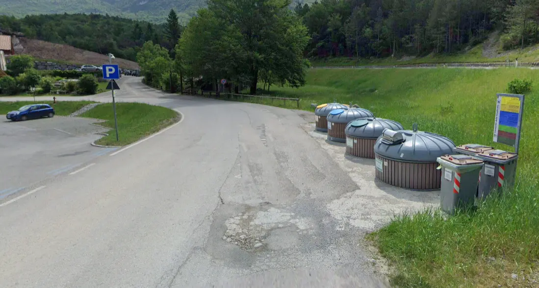 San Lorenzo in Banale, orso investito da un'auto la notte scorsa, poco prima delle 22
