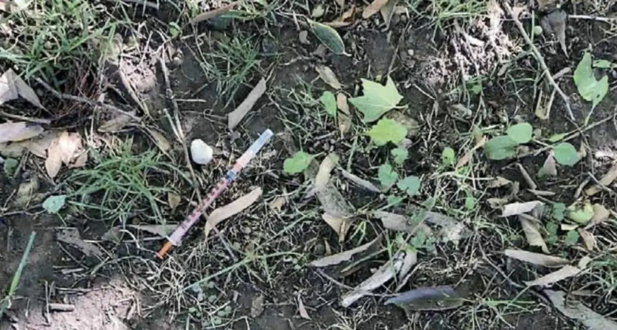 Rovereto: troppe siringhe, chiusi i bagni pubblici dei giardini tra via Benacense e Lungo Leno sinistro