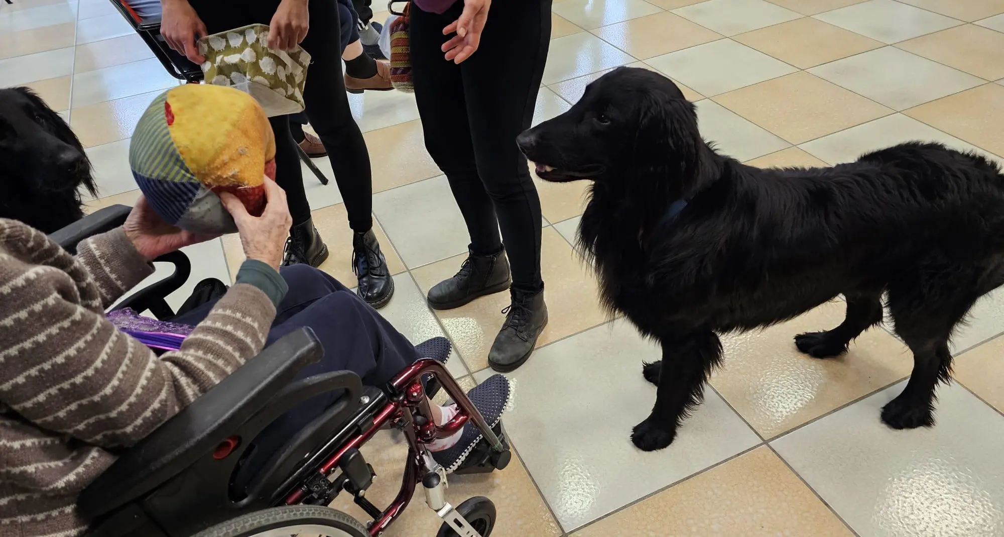 Nelle Rsa di Pergine c’è spazio per la «Pet Therapy»: due cani pronti a stimolare e rallegrare gli ospiti