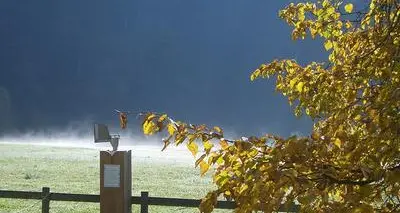 Anche in agosto gli allergici soffrono: ecco i pollini presenti, nel Bollettino della Fem