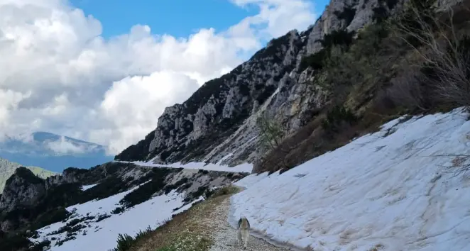 Pioggia intensa, il peggio deve arrivare: è di nuovo allerta gialla, neve fino a 2000 metri