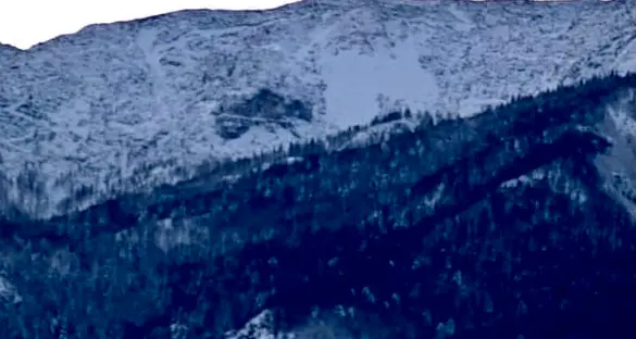 Ecco l'orsa della Vigolana, a Trento siamo ufficialmente in inverno (mettetevi la maglia di lana)