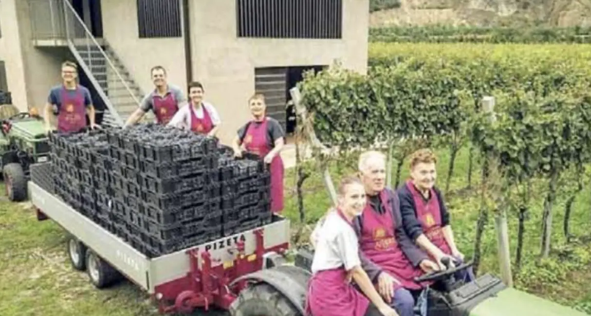 Grigoletti, 5 generazioni di vignaioli: la prima cantina lagarina a puntare sulla narrazione del vino