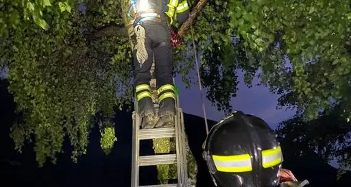Vigili del Fuoco in azione a Molveno: c'è da recuperare un drone dall'albero