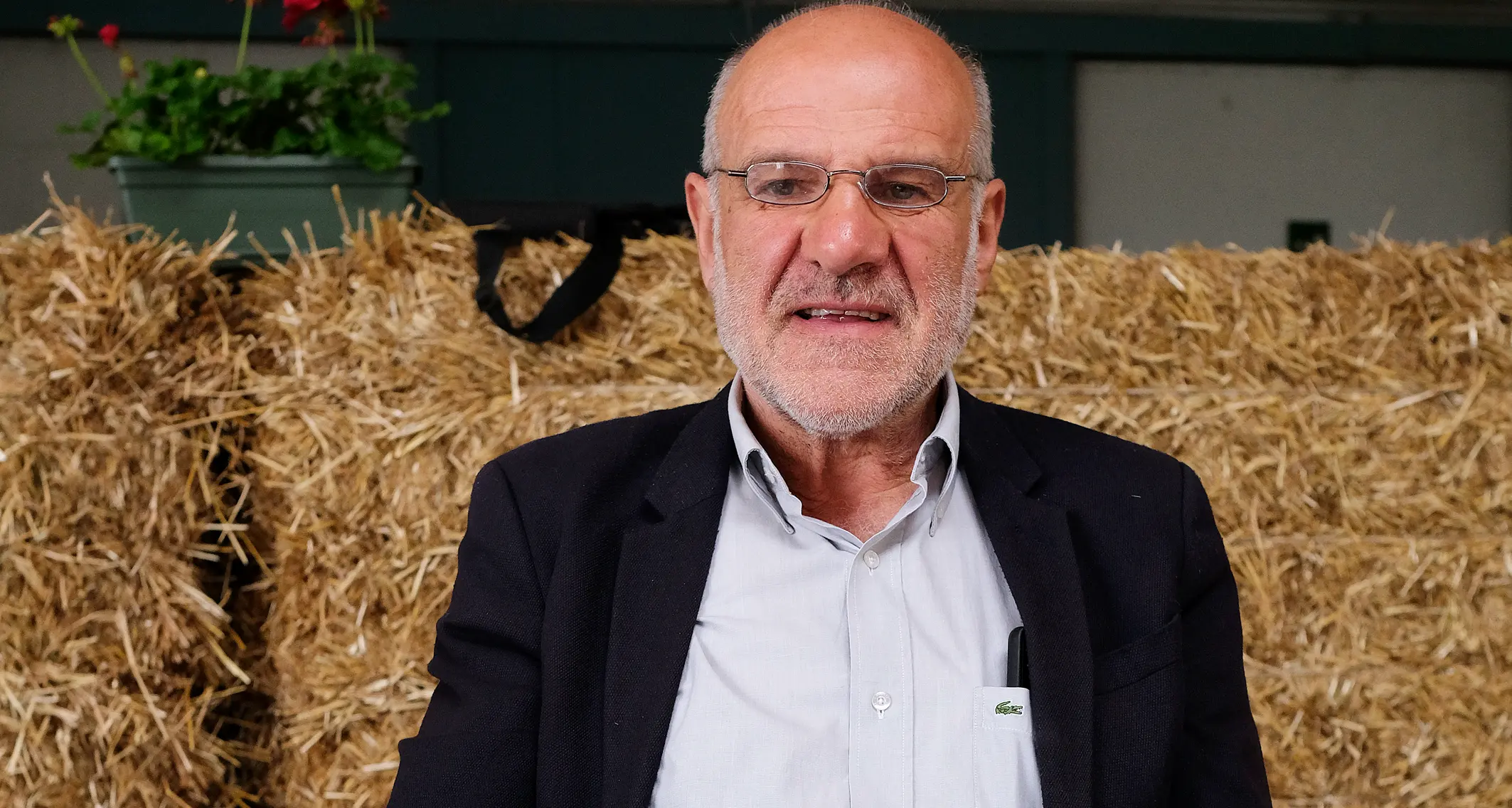 Uccidere gli orsi? «Finalmente, e anche i lupi», la ricetta del presidente degli allevatori, Mauro Fezzi