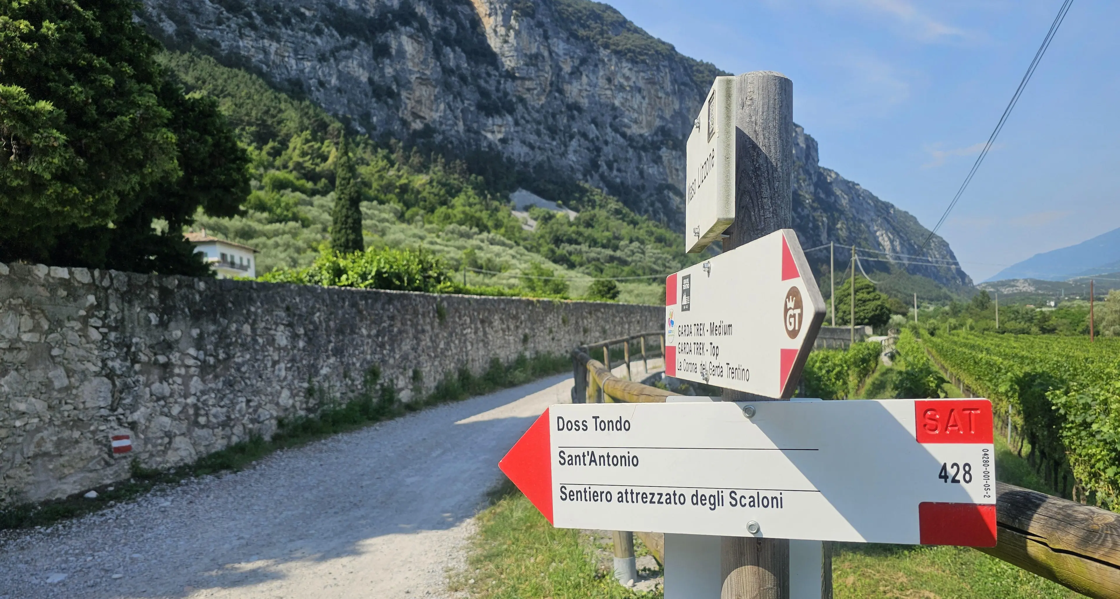 La verità del francese aggredito dall'orsa: «Mi sono rannicchiato, le mani sulla testa, immobile. Per due volte»