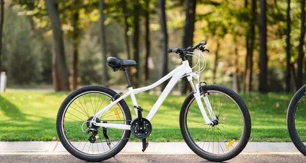 Bici rubate (una da 3.000 euro) in Val di Sole, scatta una denuncia per ricettazione