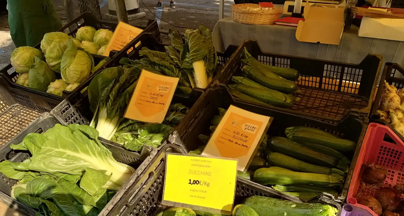 Coldiretti soddisfatta per le riaperture: “Impatto positivo su malghe, alpeggi e aziende agricole”