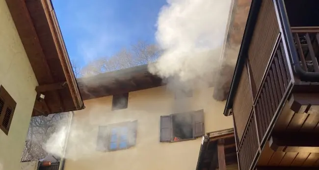 Incendio a Mezzolombardo, i vigili del fuoco salvano un cane e... una tartaruga