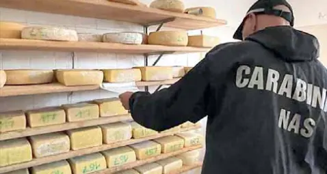 Bimba grave per il formaggio: malgaro mandato a processo