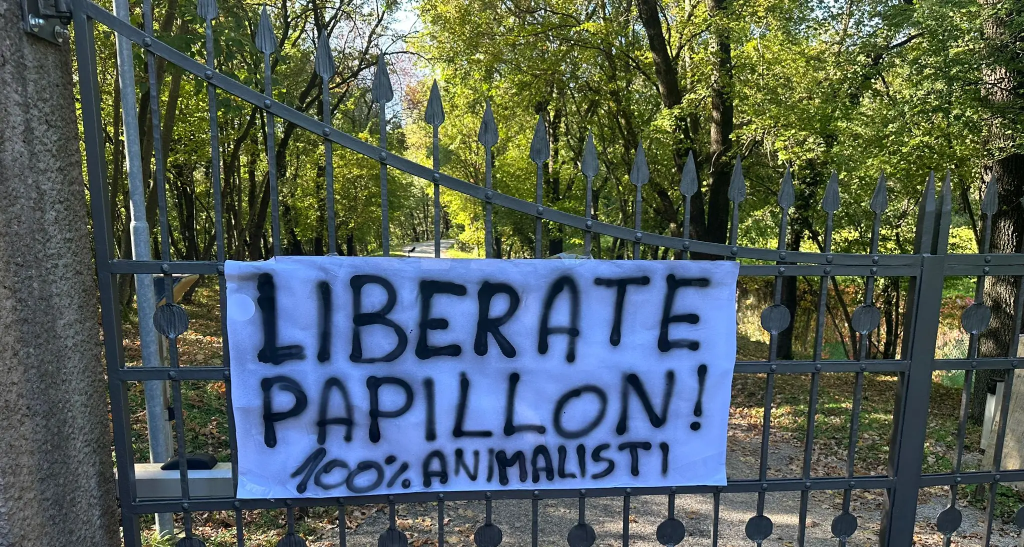 Animalisti in città vestiti da frati: «Salviamo lupi e orsi»