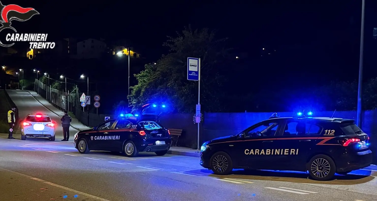 Mette in fuga i topi di appartamento: i carabinieri ne rintracciano uno