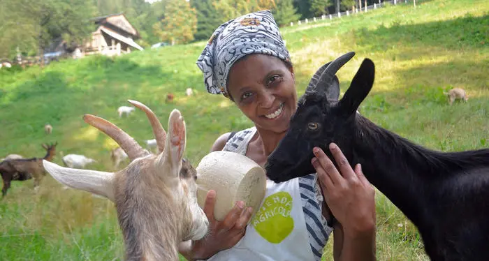 L’uccisione di Agitu Ideo Guideta, il ghanese Adams a giudizio anche per violenza sessuale