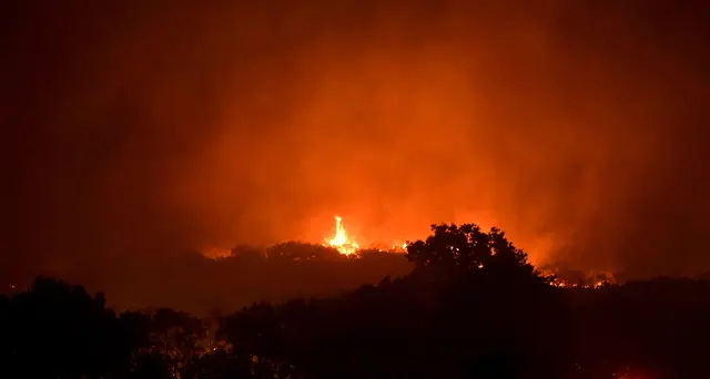 Grecia: incendio in Beozia e nei pressi di Alexandroupolis
