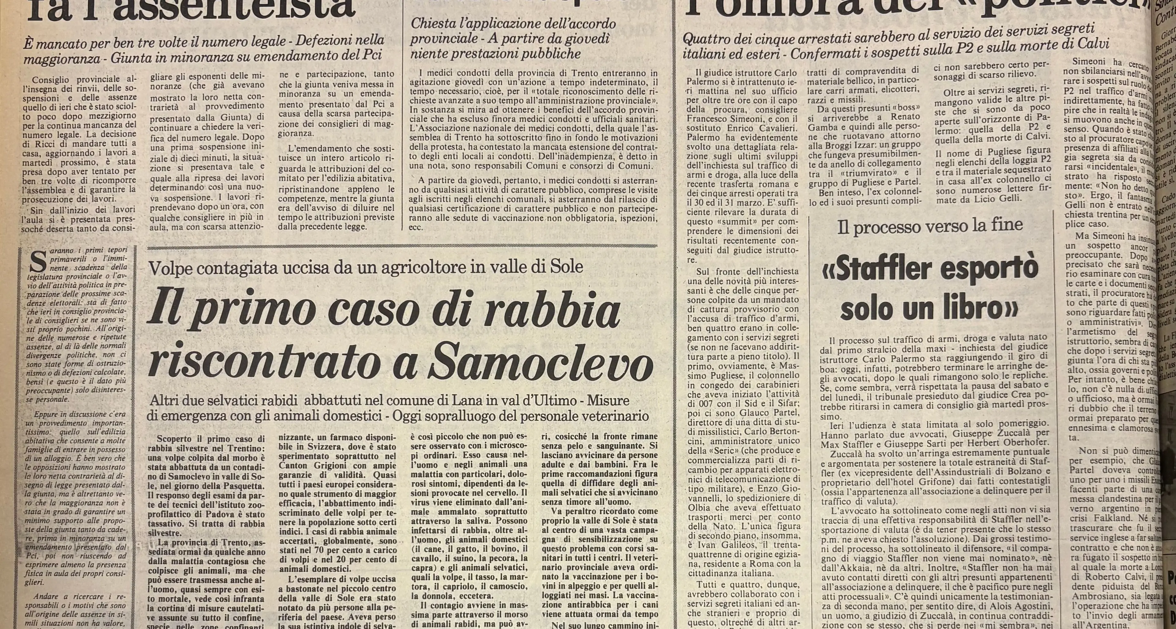 Rabbia silvestre, primo caso in Trentino