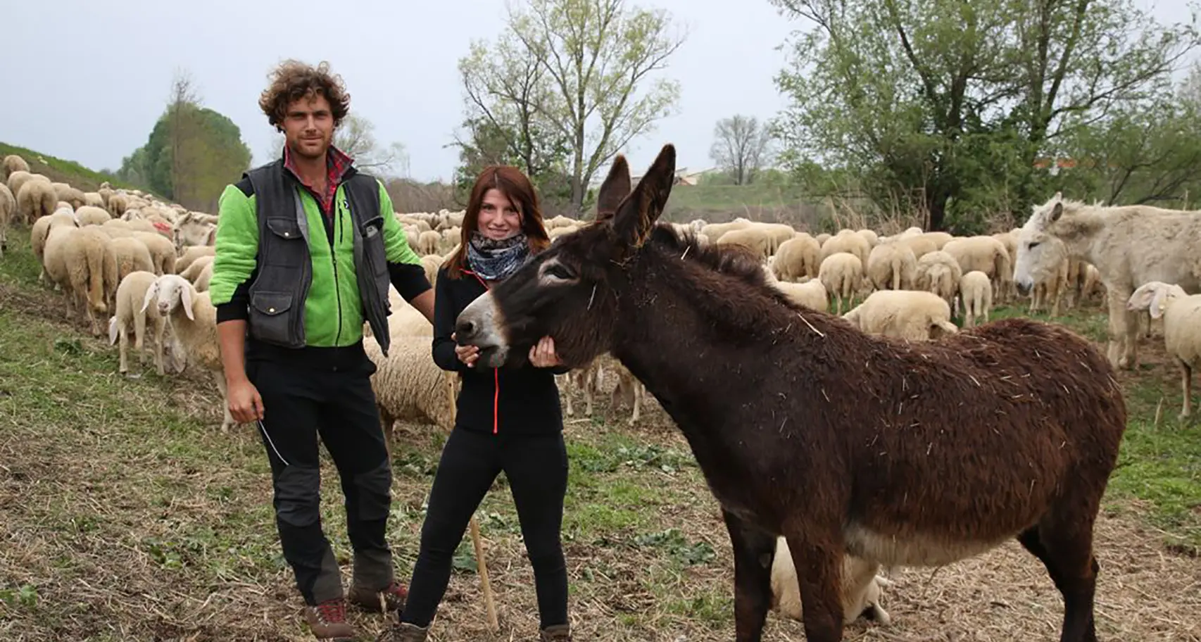 Le rubano le pecore, la pastora di Roveda incastra i ladri con le fototrappole: quattro arrestati