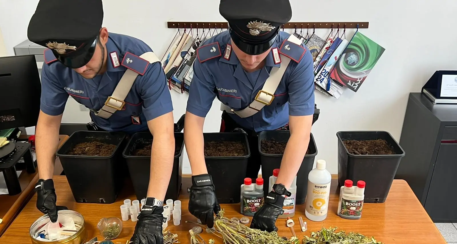 Lavis, i carabinieri intervengono per uno sfratto, ma in salotto c'era la serra per la marijuana