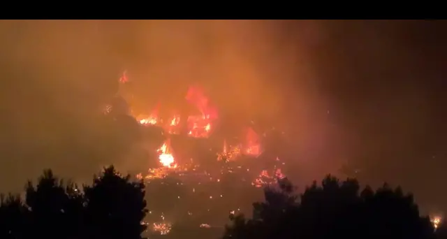 Uncem: 'le Regioni si ricordano di boschi e foreste solo con gli incendi'