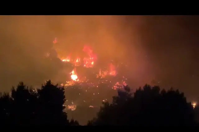 Uncem: 'le Regioni si ricordano di boschi e foreste solo con gli incendi'