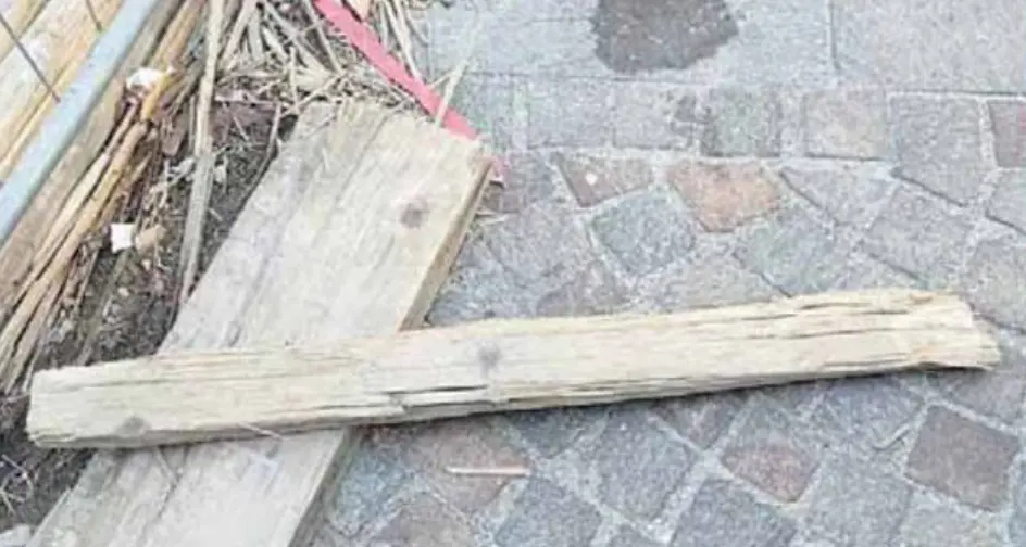 Anziano aggredito a Trento da sei ragazze: colpito con uno schiaffo e minacciato con un legno