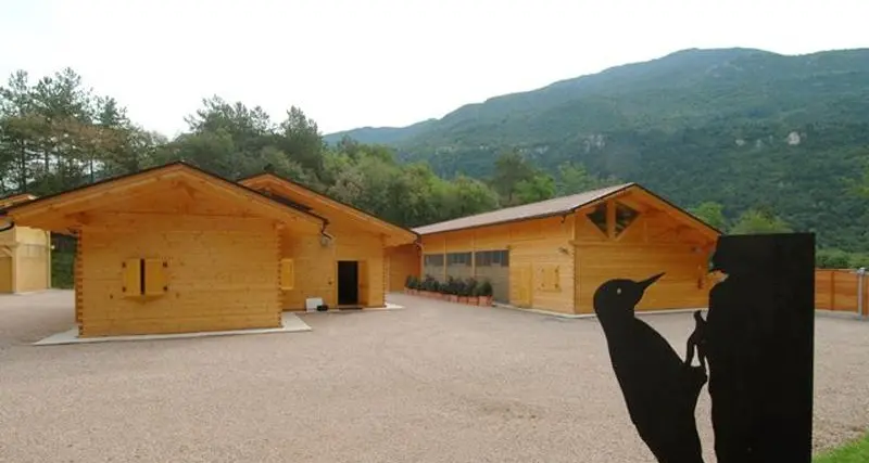 Il Centro recupero della fauna selvatica tolto alla Lipu, le associazioni: «Chiediamo almeno un incontro, da due mesi non si fanno sentire e non rispondono»