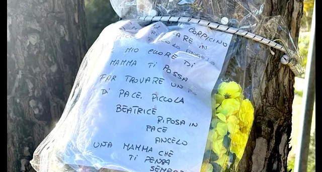 Bimba morta: criminologo assisterà all'accertamento tecnico irripetibile dei Ris