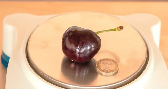 La ciliegia più pesante del mondo è ferrarese (lo dice il Guinness)