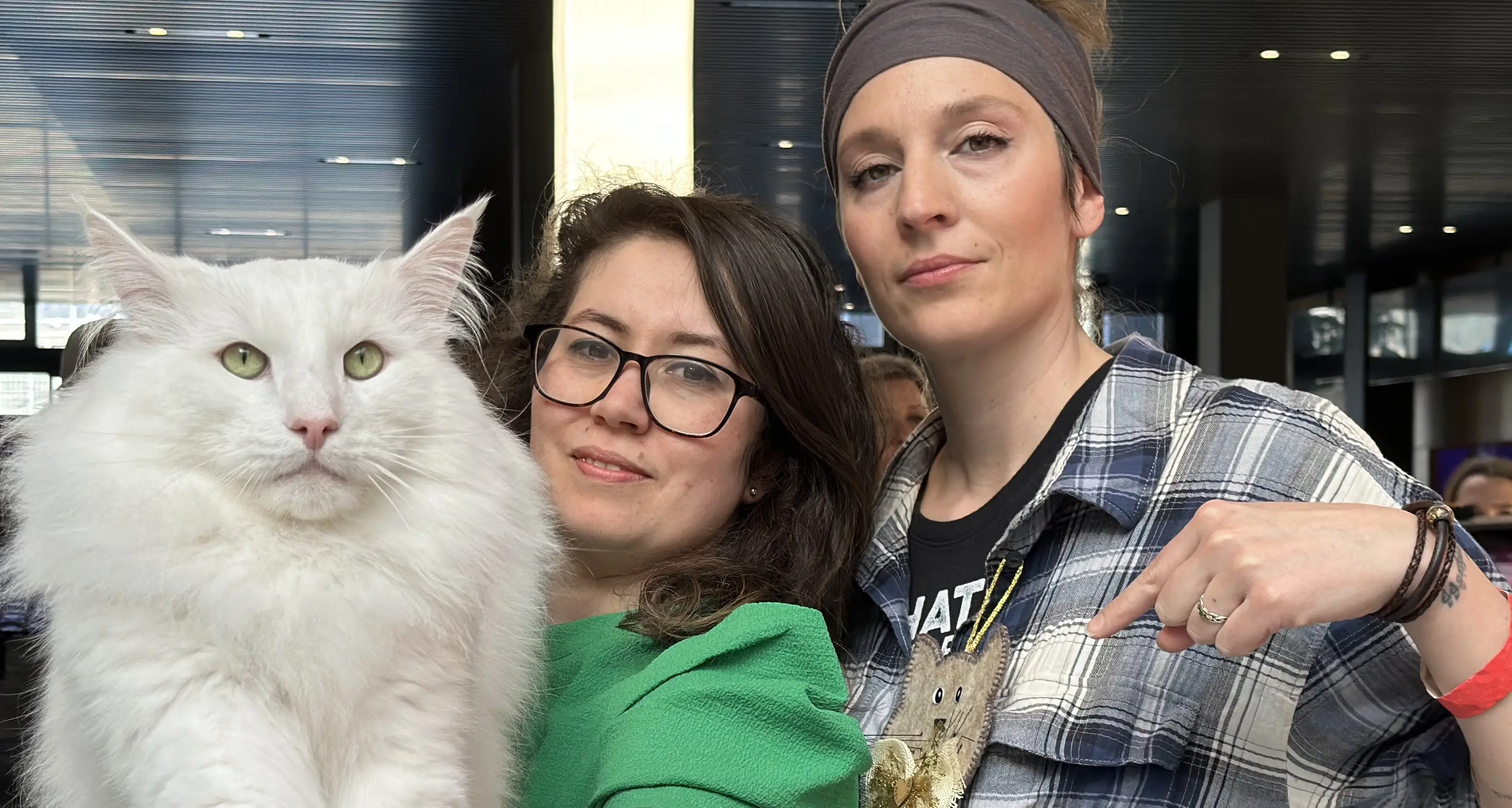 È Poldo e vive in Valsugana il gatto più bello del mondo