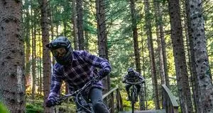 Area protetta nel Parco Pale di San Martino: ok allo scavo per una pista da downhill, nel sito prezioso per flora e fauna rare e tutelate