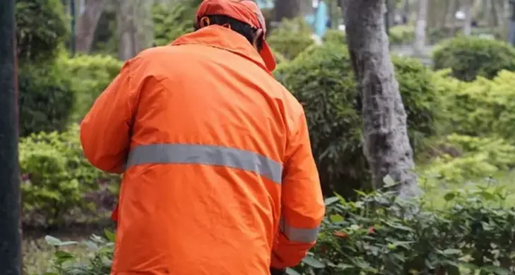 Lavori socialmente utili: quasi 16 milioni per 2.000 posti nel 2026